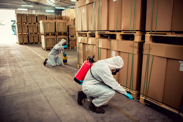 Best Affordable Pest Control Services  in Mocksville, NC