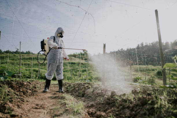 Best Affordable Pest Control Services  in Mocksville, NC