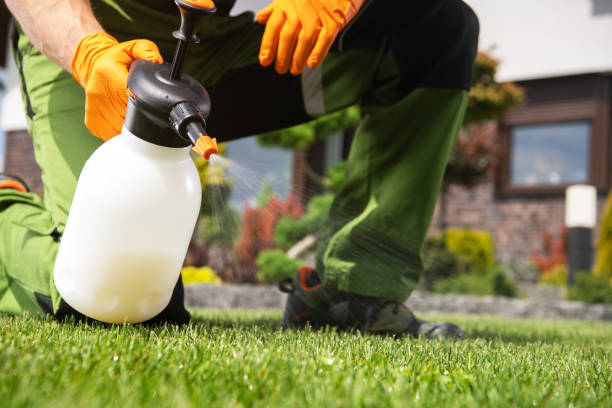 Best Affordable Pest Control Services  in Mocksville, NC