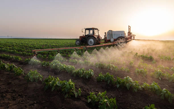 Professional Pest Control in Mocksville, NC