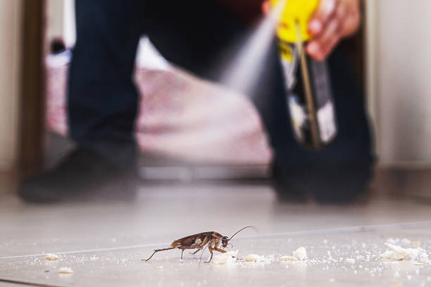 Best Pest Prevention Services  in Mocksville, NC