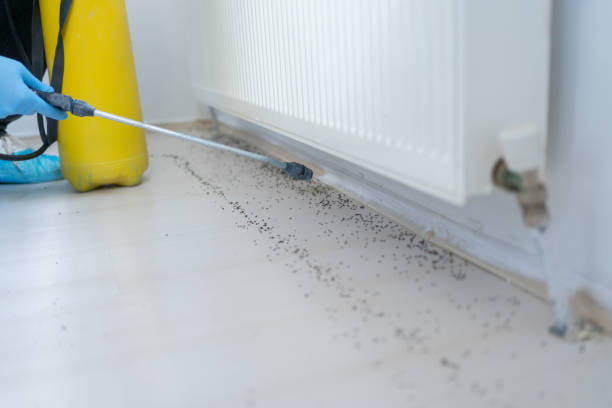 Best Insect Control  in Mocksville, NC